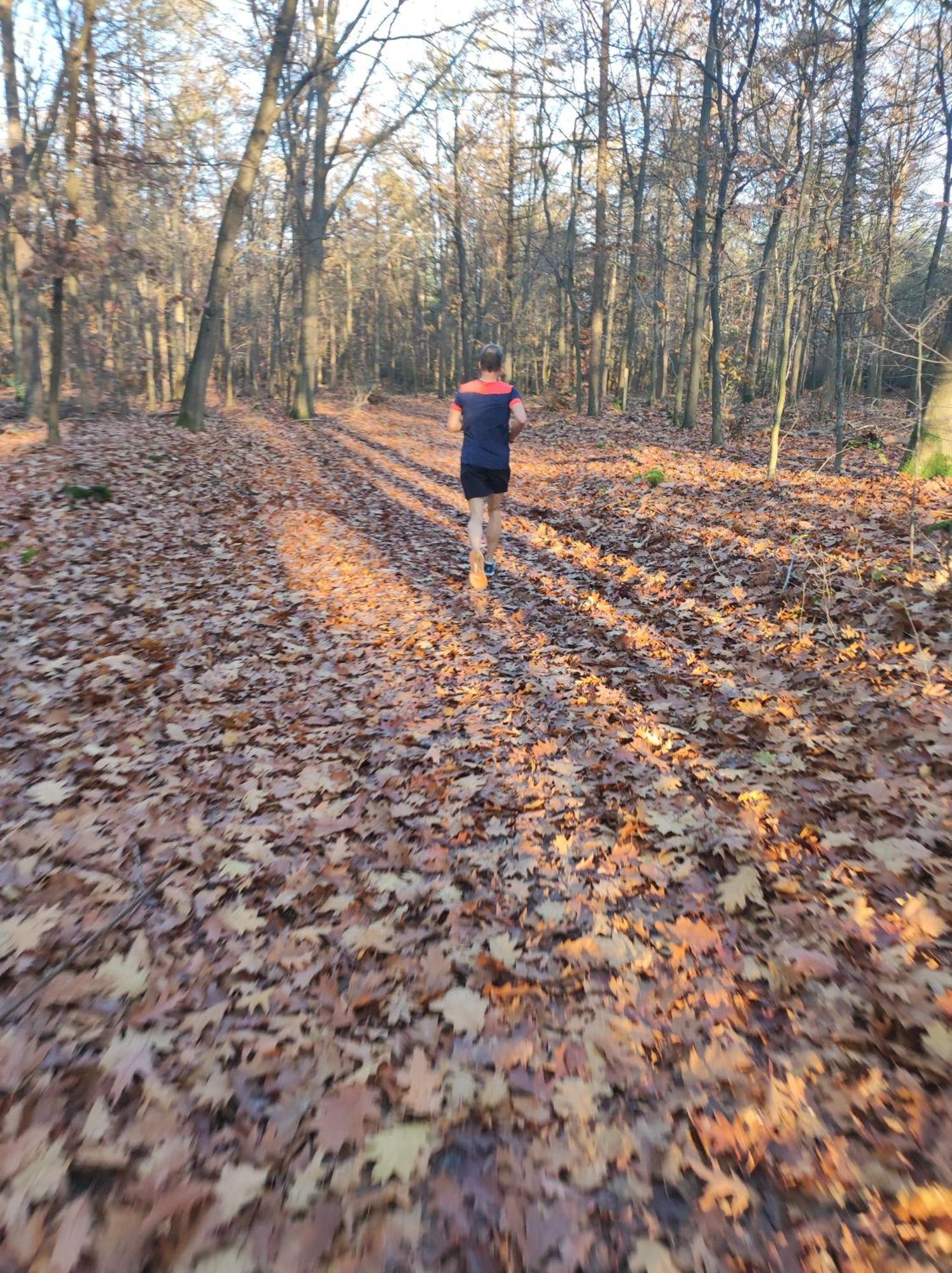 Poort Van De Veluwe Voorthuizen Esterno foto